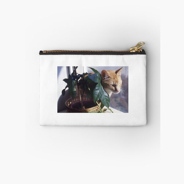 Item preview, A nice spot of sun... designed and sold by Roz McQuillan Fine Art & Photography.
