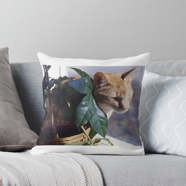 Item preview, A nice spot of sun... designed and sold by Roz McQuillan Fine Art & Photography.