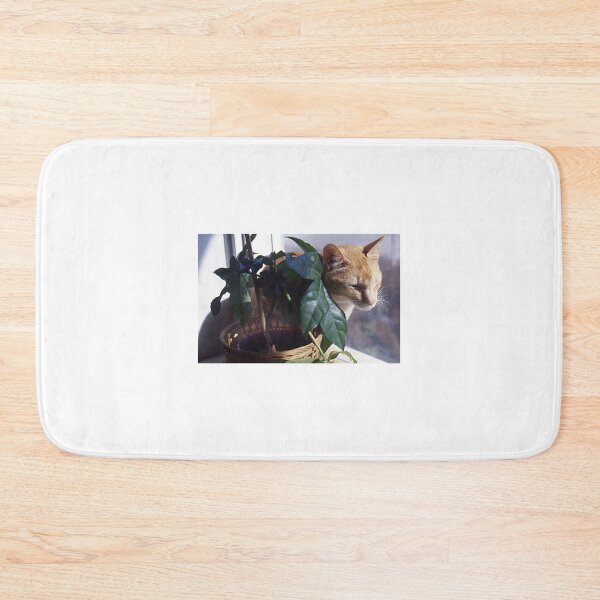 Item preview, A nice spot of sun... designed and sold by Roz McQuillan Fine Art & Photography.