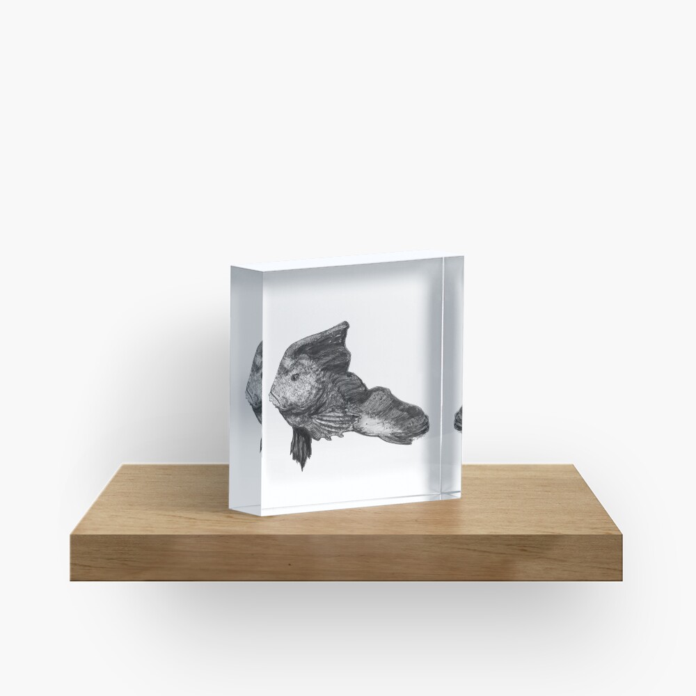 Paulina the Red Indian Fish Acrylic Block