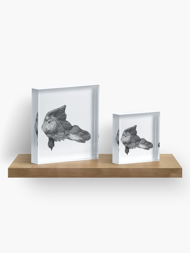 Alternate view of Paulina the Red Indian Fish Acrylic Block