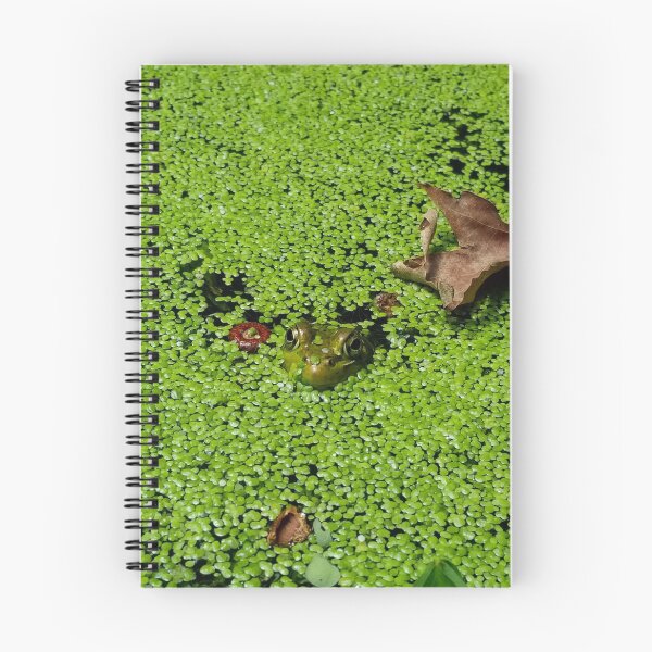 Item preview, Frog in Duckweed designed and sold by sporadicdoodlin.
