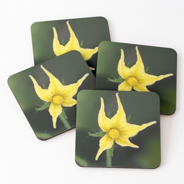 Item preview, Tomato flower close-up designed and sold by SDym Photography.