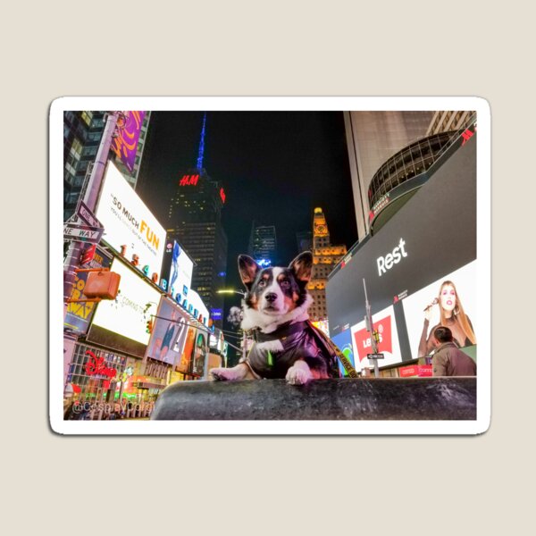 Item preview, Kiba in Time Square designed and sold by corgicosplay.