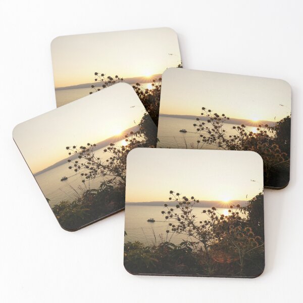 Item preview, patterns in nature designed and sold by distracted.