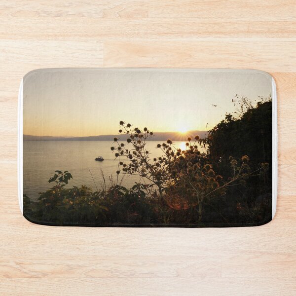 Item preview, patterns in nature designed and sold by distracted.