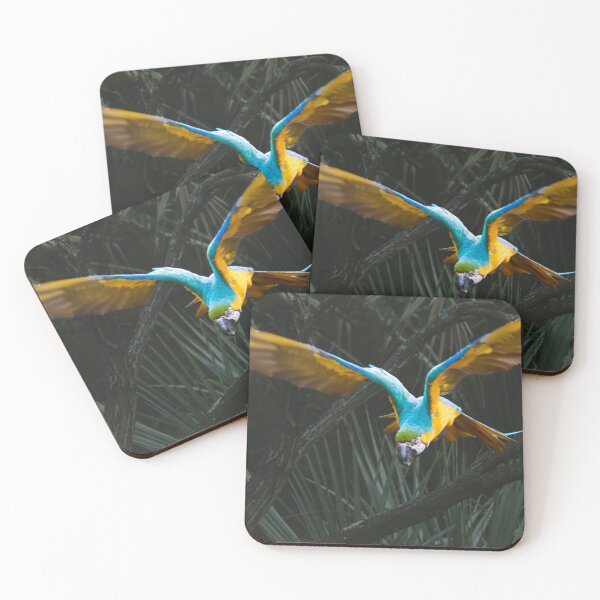 Item preview, Blue and Gold Macaw in flight#3 designed and sold by DVart-nz.