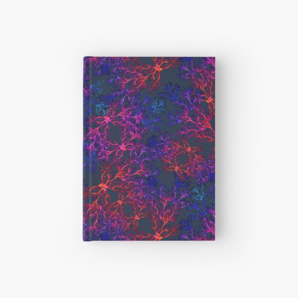 Two dimensional truth Hardcover Journal