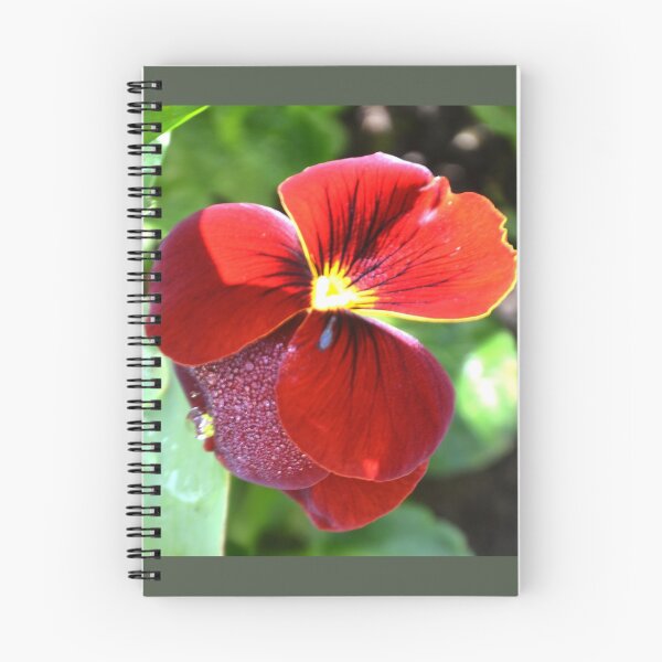 Item preview, Sparkling Pansy designed and sold by lynn carter.