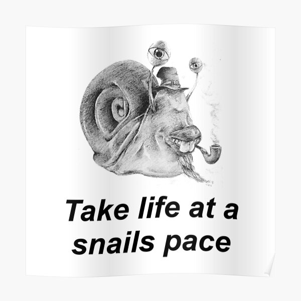 "At Snails Pace" Poster for Sale by TPH2O Redbubble