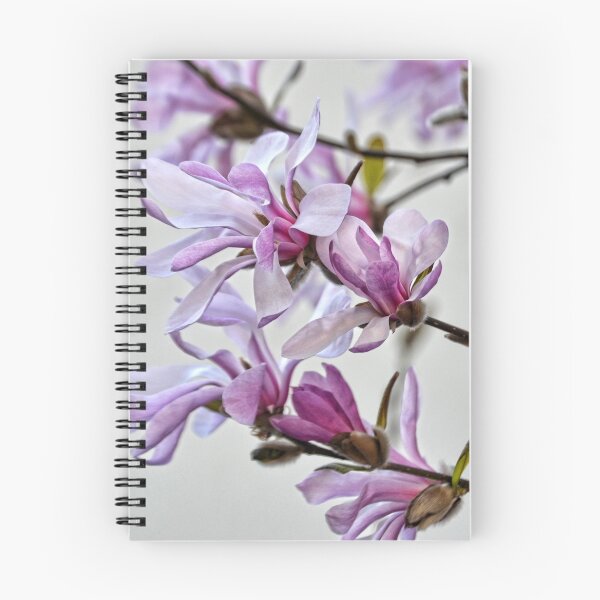 Item preview, Magnolia designed and sold by lynn carter.