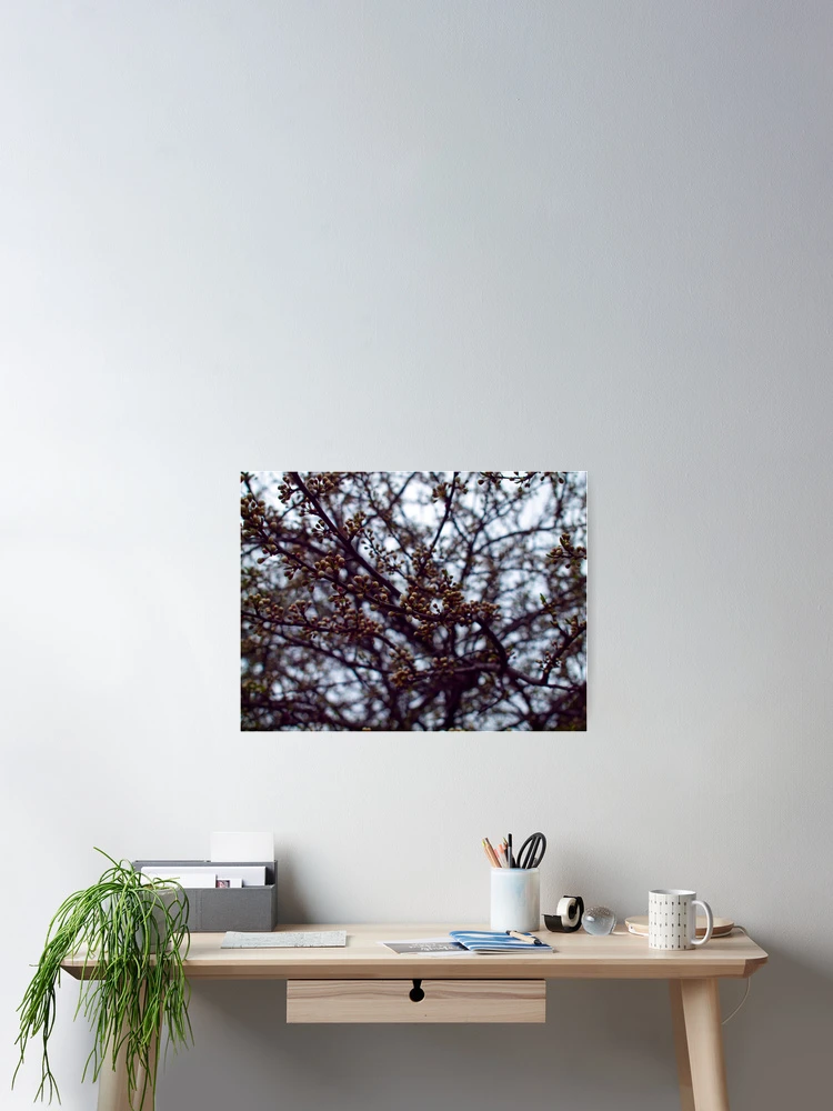 Thumbnail 2 of 3, Poster, Spring designed and sold by bunlinked.