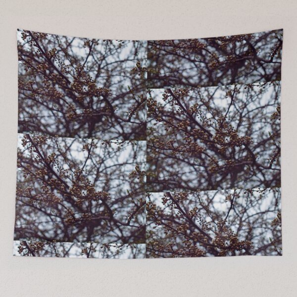 Tapestry