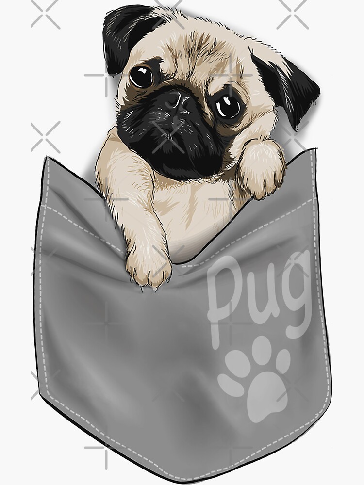 Pocket pugs hot sale