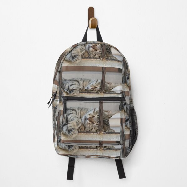 Item preview, Sleeping cat in Izmir in Turkey designed and sold by krisgreenwood.