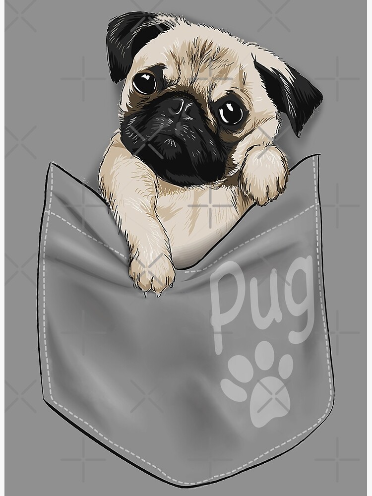 Pocket pugs store