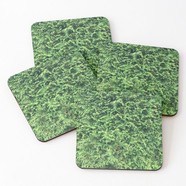 Item preview, Hedge designed and sold by WonderBubbles.