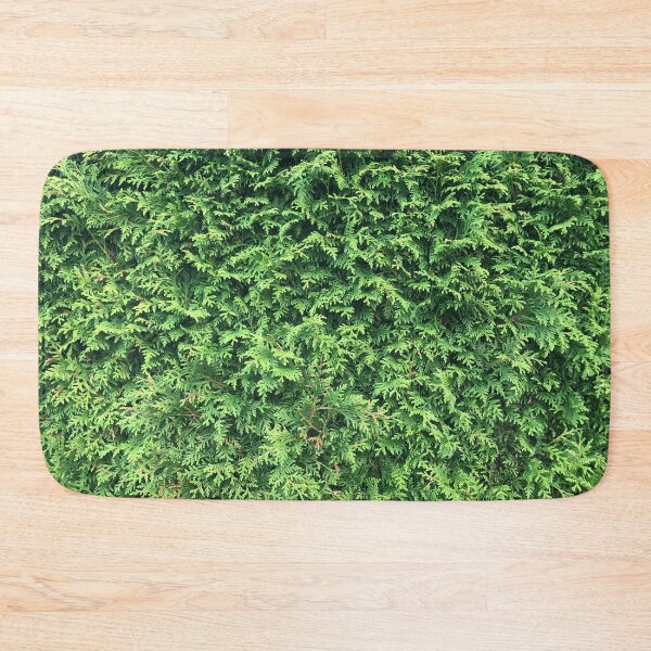 Item preview, Hedge designed and sold by WonderBubbles.