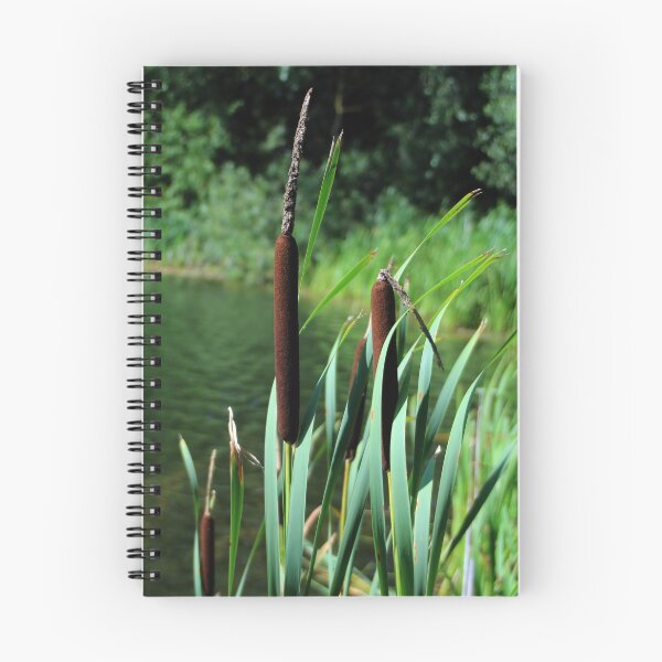 Item preview, Bulrush designed and sold by BritishYank.