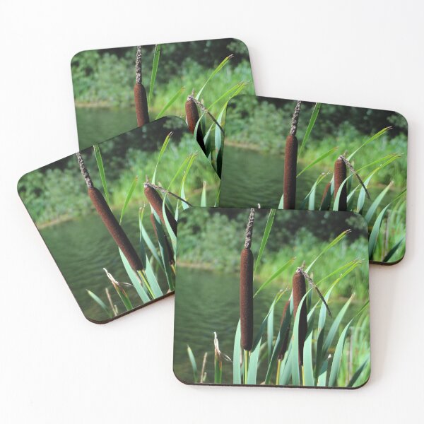 Item preview, Bulrush designed and sold by BritishYank.