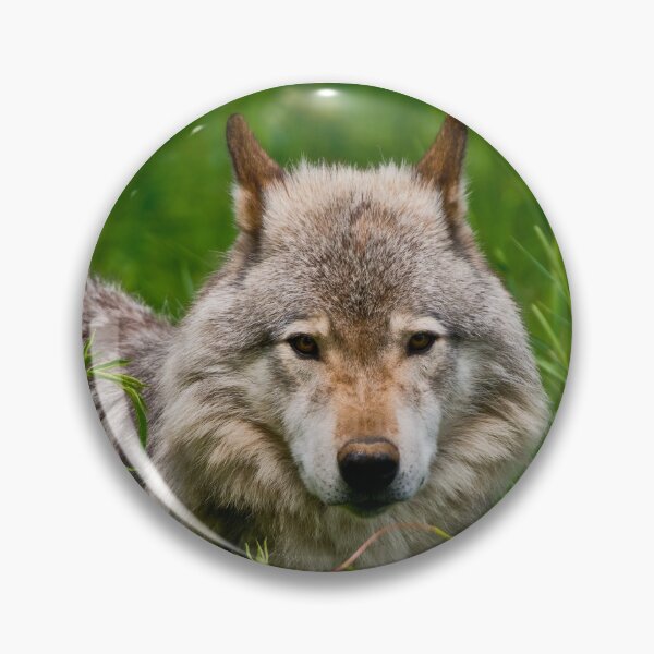 Item preview, Timber Wolf designed and sold by WolvesOnly.