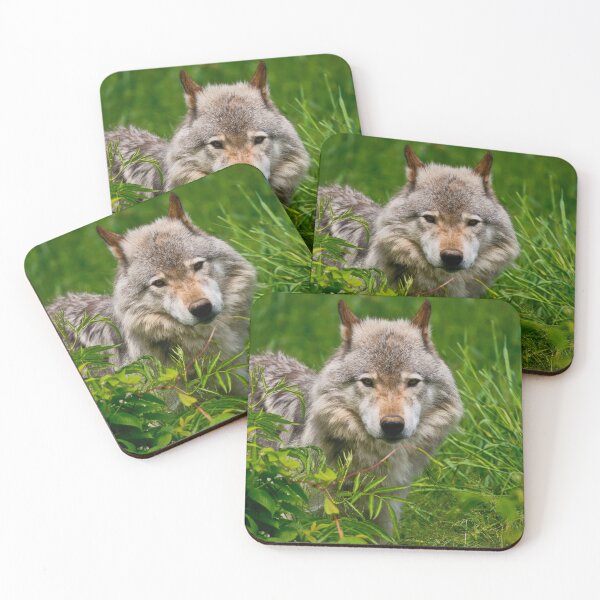 Item preview, Timber Wolf designed and sold by WolvesOnly.