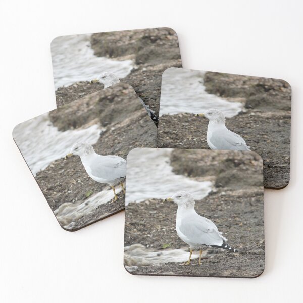Item preview, Seagull on the Shore of Lake Michigan designed and sold by Susie Kramer.