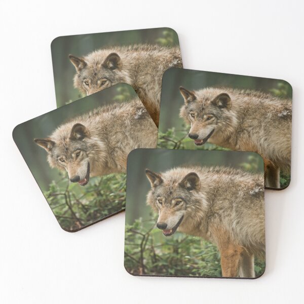 Item preview, Timber Wolf designed and sold by WolvesOnly.