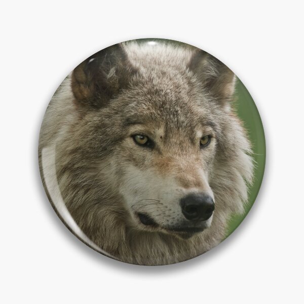 Item preview, Timber Wolf designed and sold by WolvesOnly.