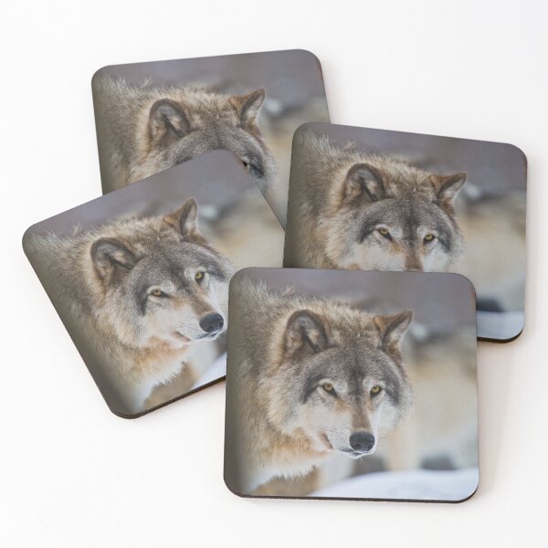 Artikelvorschau, Timber Wolf entworfen und verkauft von WolvesOnly.