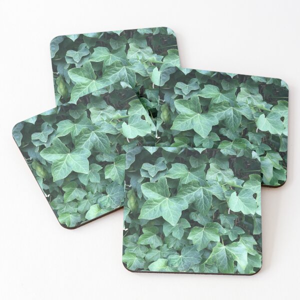 Item preview, Ivy designed and sold by WonderBubbles.