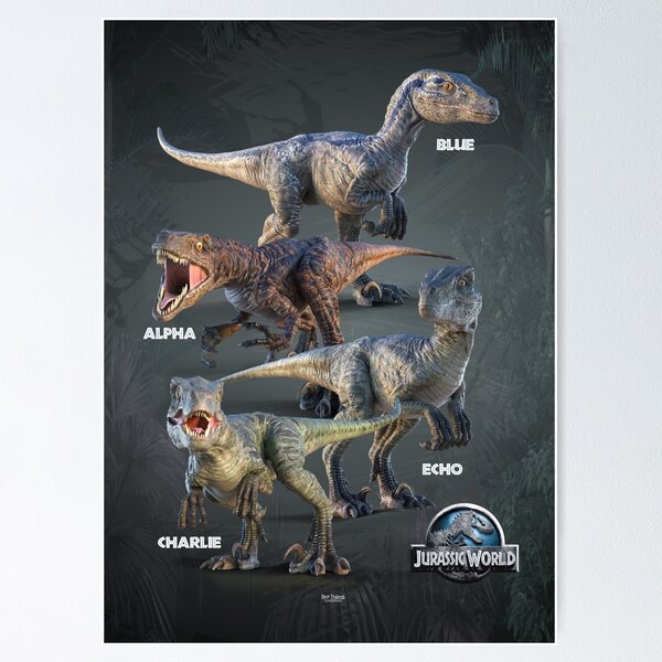 Raptor Claws  Poster for Sale by fkowcmdno87