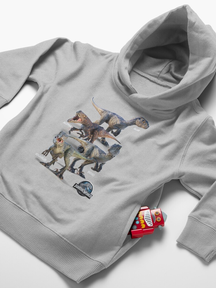 Alternate view of Raptor Squad Toddler Pullover Hoodie