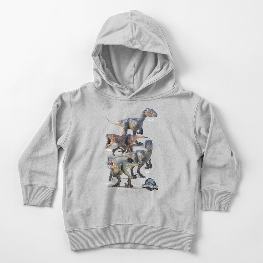Raptor Squad Toddler Pullover Hoodie
