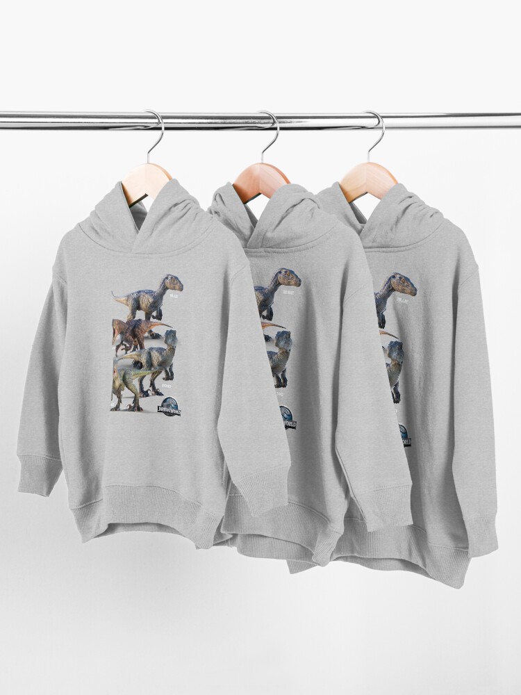Alternate view of Raptor Squad Toddler Pullover Hoodie