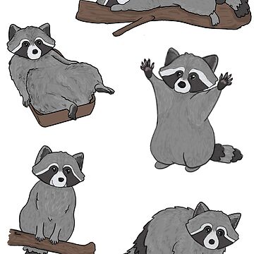 Raccoons Sticker by bigmaureen