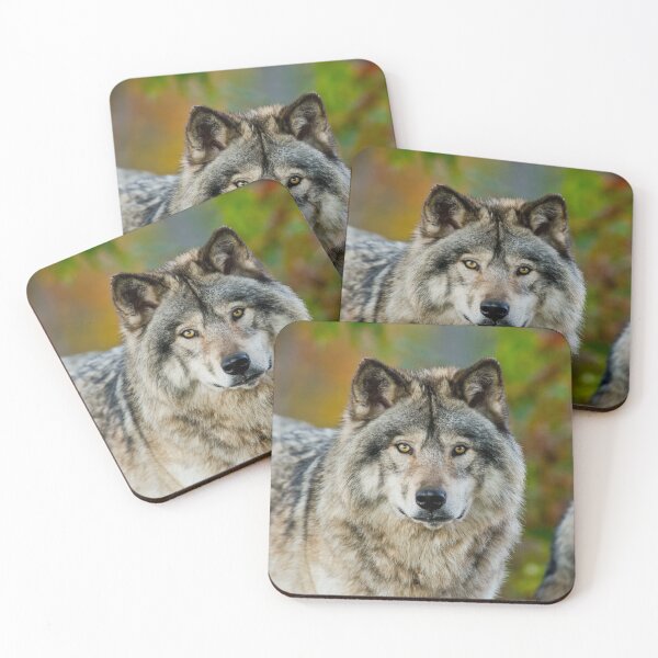 Item preview, Timber Wolf designed and sold by WolvesOnly.
