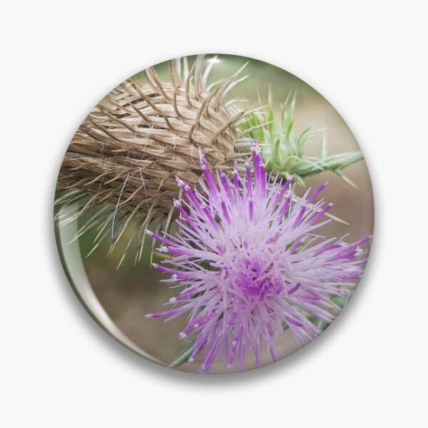 Item preview, Bucolic flower thistle designed and sold by NatureNature.