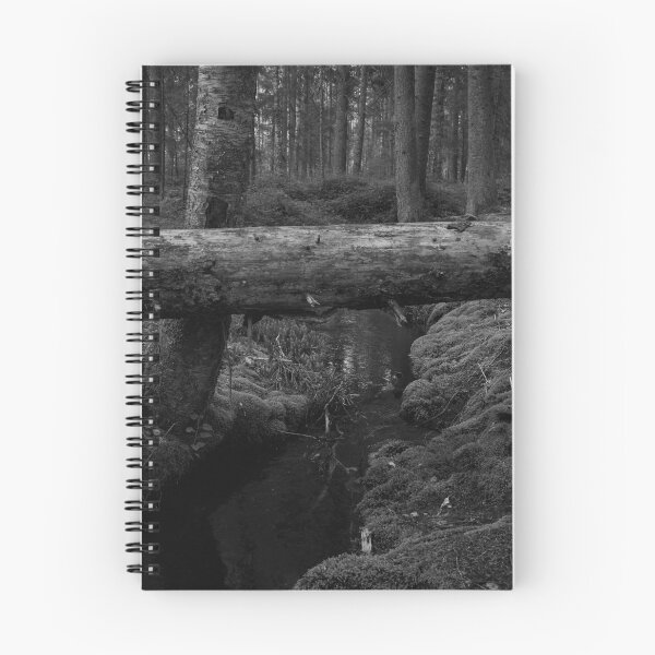 Item preview, Natural bridge in bw. Teijo National Park designed and sold by Jouko Lehto Photography.