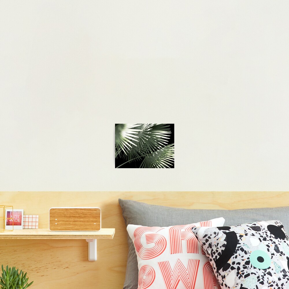 Shapes of Hawai'i Photographic Print