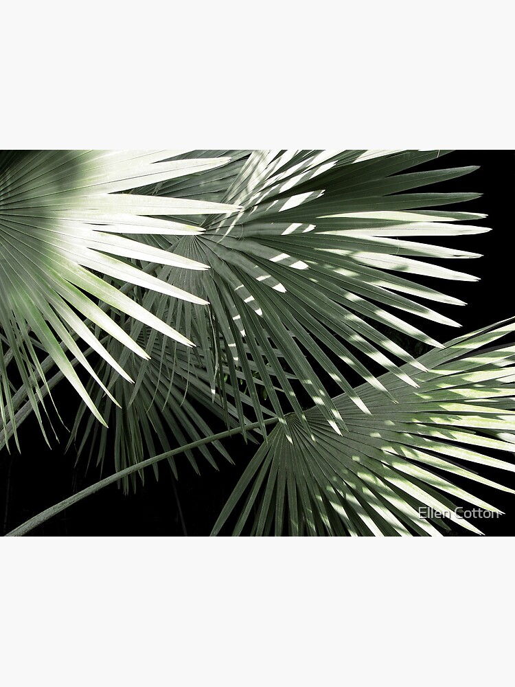 Shapes of Hawai'i by ellcot