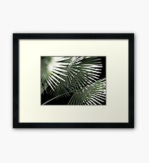 Shapes of Hawai'i Framed Print
