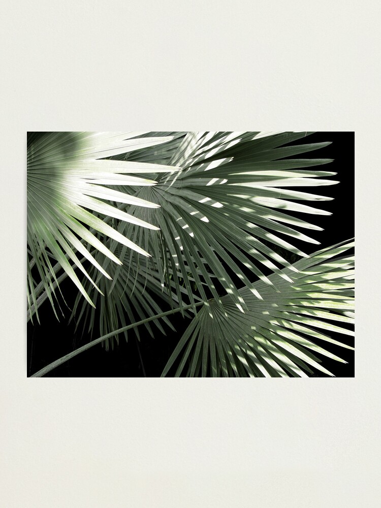 Alternate view of Shapes of Hawai'i Photographic Print