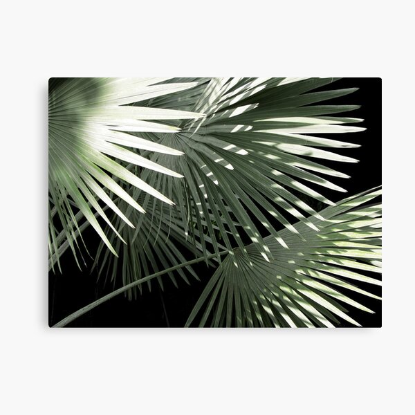 Shapes of Hawai'i Canvas Print