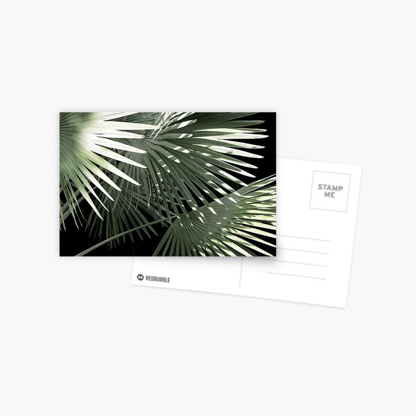 Shapes of Hawai'i Postcard