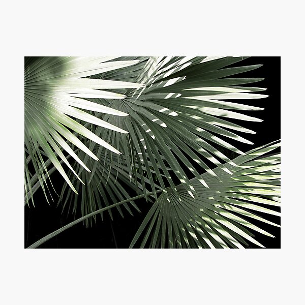 Shapes of Hawai'i Photographic Print