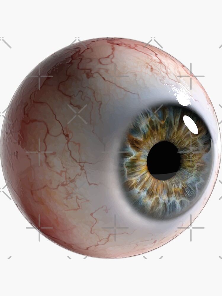 Eyeballs | Sticker