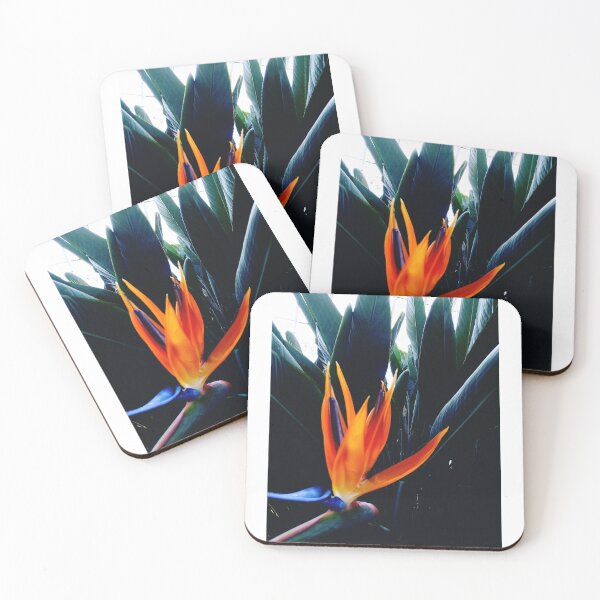 Item preview, Bird of Paradise designed and sold by loveolivia8.