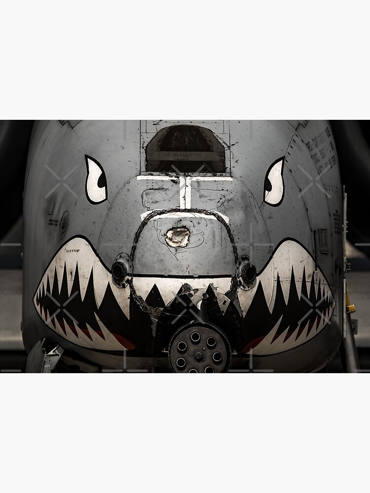 A10 Warthog nose by Aerofan