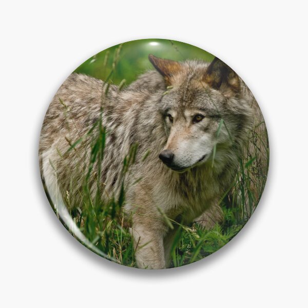 Item preview, Timber Wolves designed and sold by WolvesOnly.